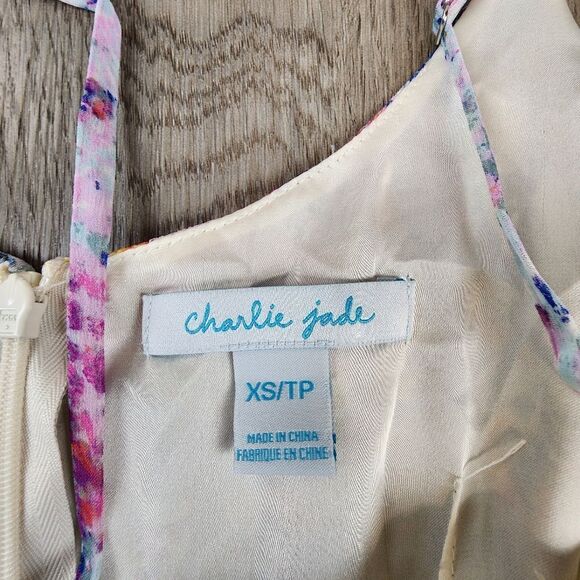 Charlie Jade 100% Silk Maxi Dress size XS - Picture 7 of 7